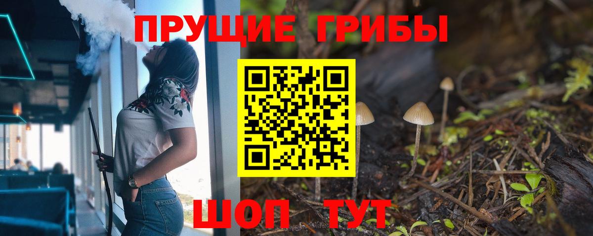 Псилоцибиновые грибы Cubensis Бутурлиновка
